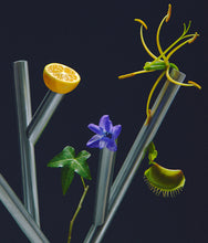Carica l'immagine nel visualizzatore di Gallery, 104 Terra Edera extracts 100 ml "BON PARFUMEUR"