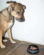Carica l'immagine nel visualizzatore di Gallery, No Problemo Pet Bowl "NO PROBLEMO"
