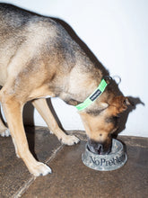 Carica l'immagine nel visualizzatore di Gallery, No Problemo Pet Bowl Camo"NO PROBLEMO"
