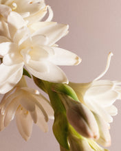 Carica l'immagine nel visualizzatore di Gallery, RHIZOME 07 EDP "RHIZOME"
