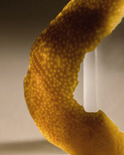 Carica l'immagine nel visualizzatore di Gallery, RHIZOME 03 EDP "RHIZOME"
