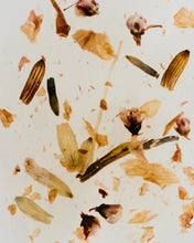Carica l&#39;immagine nel visualizzatore di Gallery, Flower cuticle oil treatment &quot;LICIA FLORIO&quot; 100% vegan
